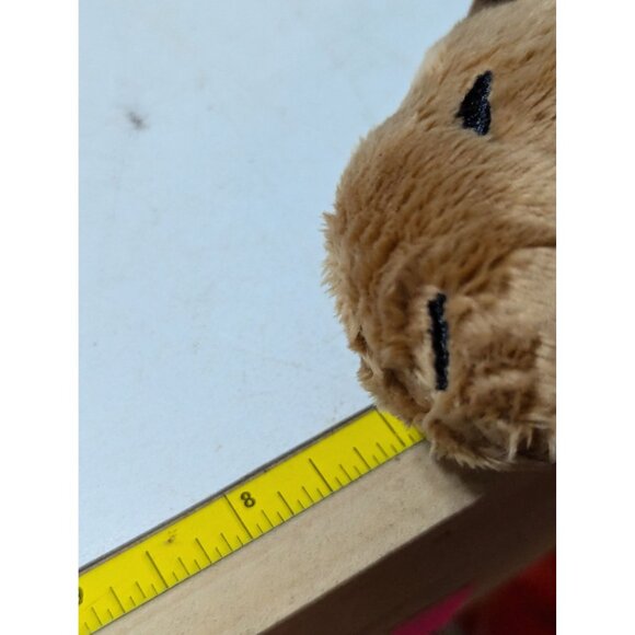 Capybara Plush Toy 10" Soft Stuffed Animal Cute & Cuddly Perfect Gift For Kids & - Picture 3 of 3